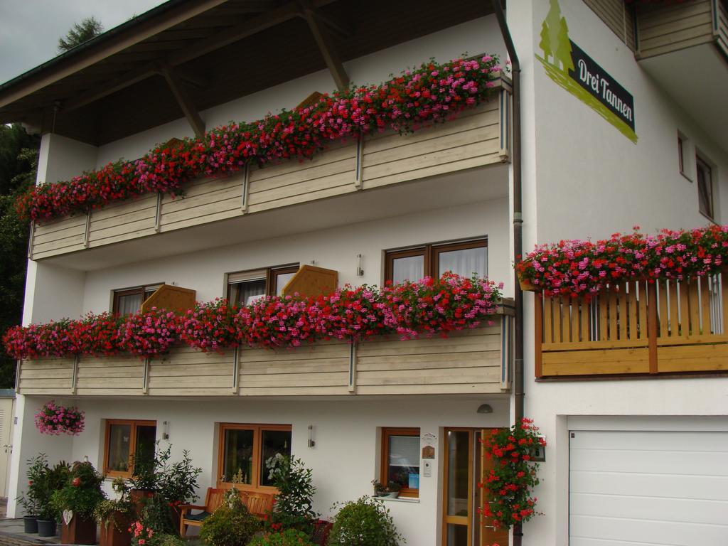Drei Tannen Hotel Bodenmais Exterior photo