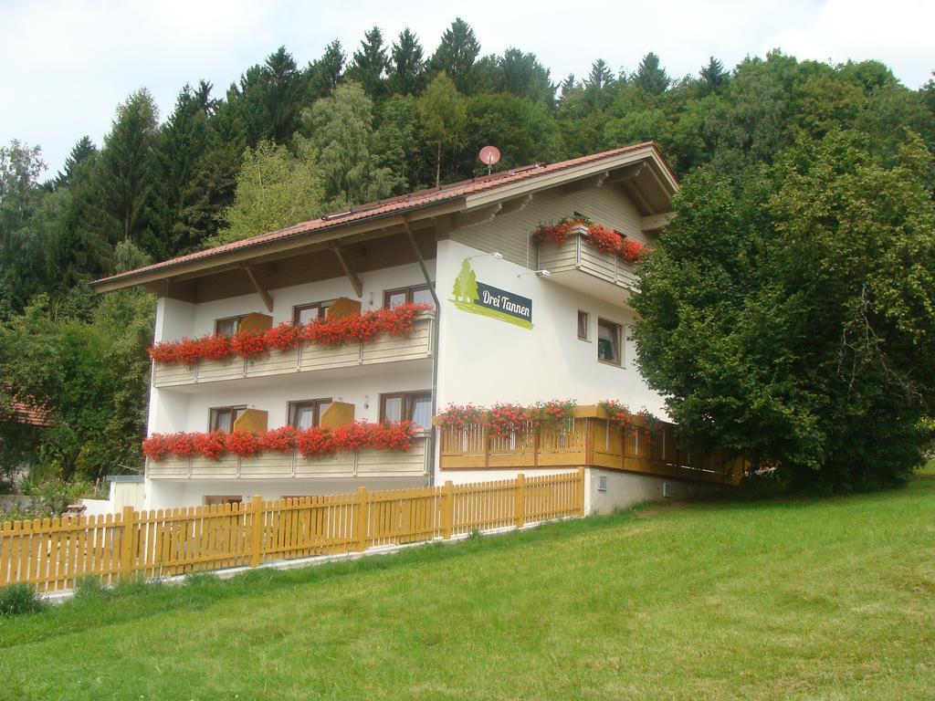 Drei Tannen Hotel Bodenmais Exterior photo